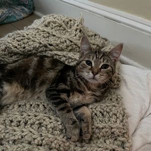 Meet your Posher, Randi